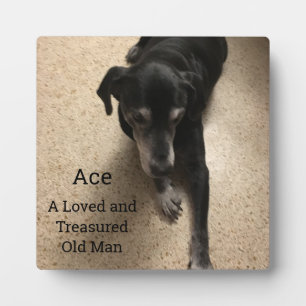 Ace, A Loved and Treasured Old Man Plaque