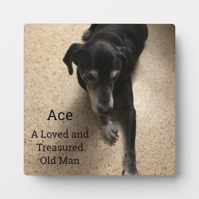 Ace, A Loved and Treasured Old Man Plaque (Front)