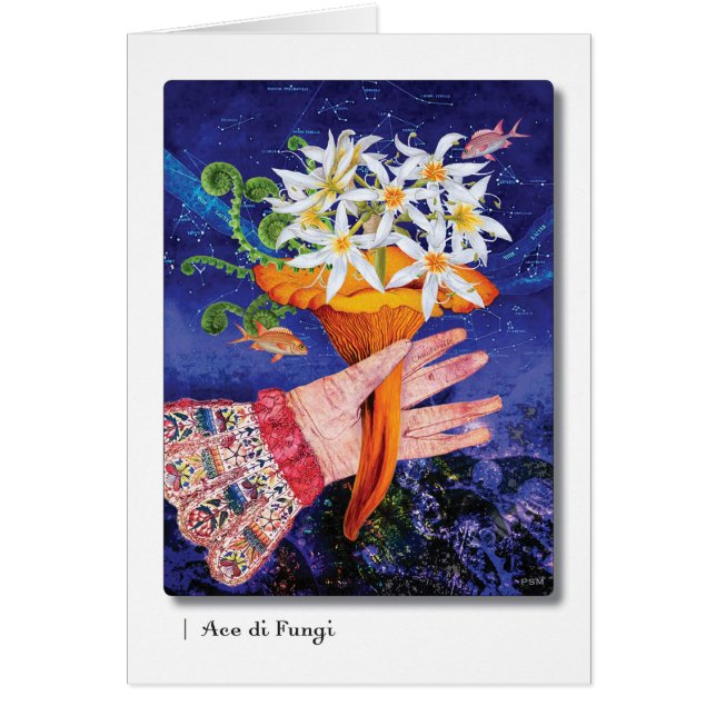 Ace di Fungi (Front)