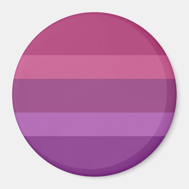 Aceflux Pride Flag Magnet (Front)