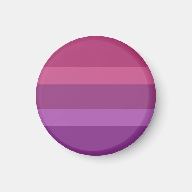 Aceflux Pride Flag Magnet (Front)