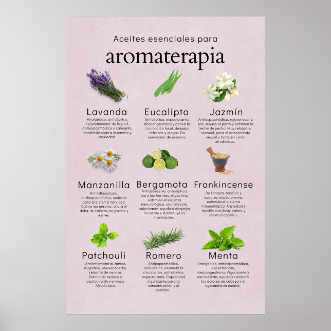 Aceites esenciales aromaterapia en español  poster (Front)