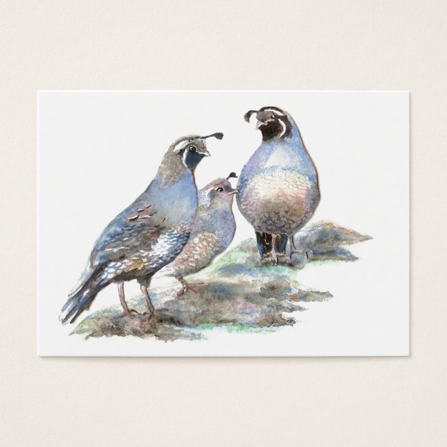 ACEO ATC California Quail (Front)
