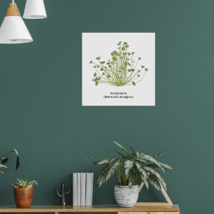 Acetabularia (Mermaid’s Wineglass) Hand Drawn Poster