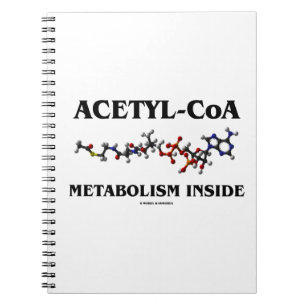 Acetyl-CoA Metabolism Inside (Chemical Molecule) Notebook