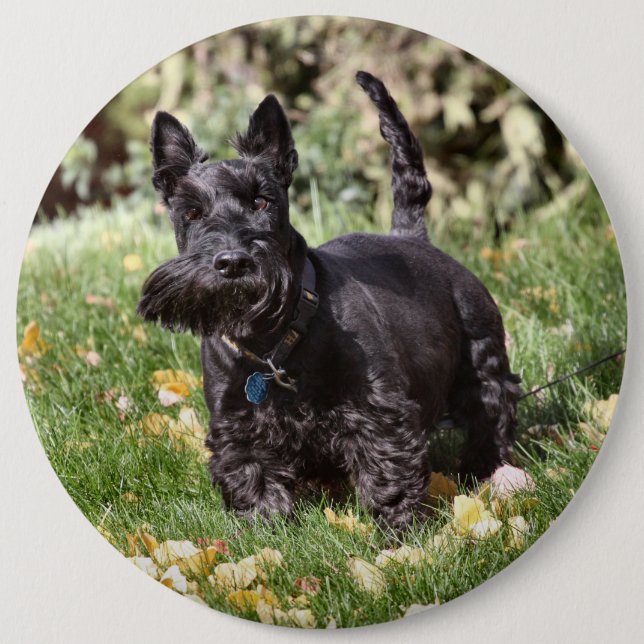 Ach 6 Cm Round Badge (Front)