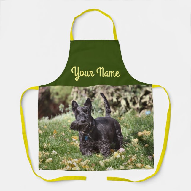 Ach Apron (Front)