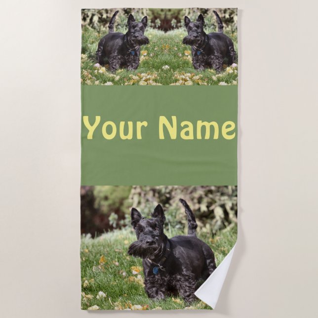 Ach  beach towel (Front)