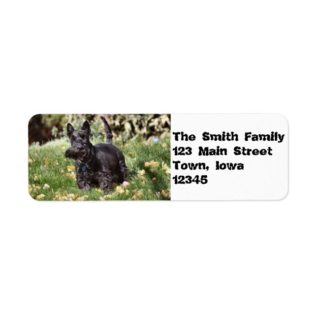 Ach! Return Address Label (Front)