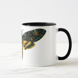 Acherontia atropos (Death's Head Hawkmoth) Mug
