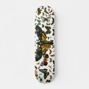 Acherontia atropos (Death's Head Hawkmoth) Skateboard