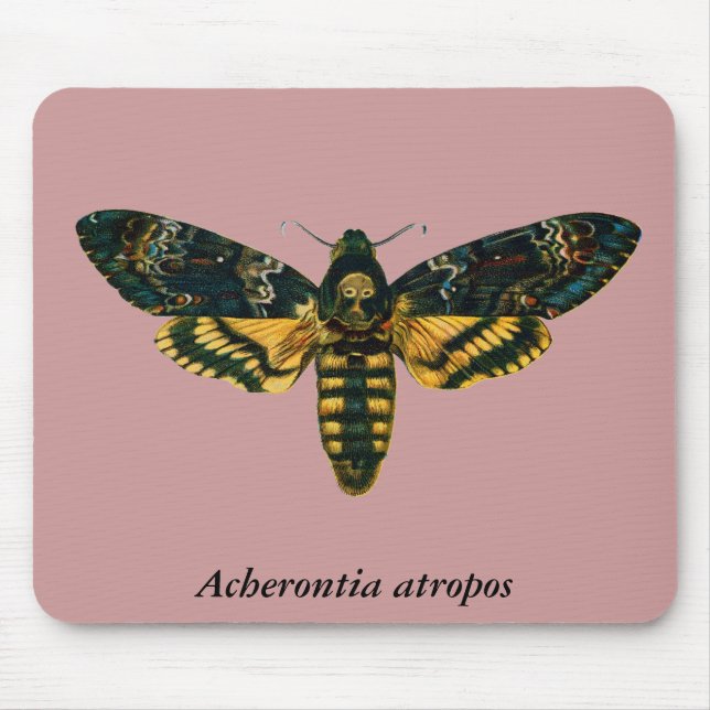 Acherontia atropos mouse pad (Front)