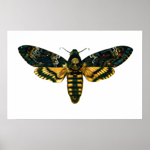 Acherontia atropos poster
