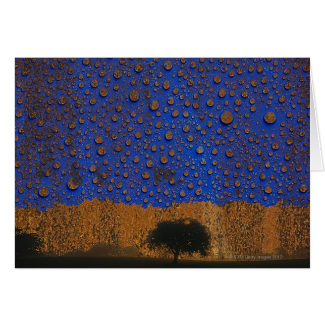 Acid rain & environmental pollution (Front Horizontal)