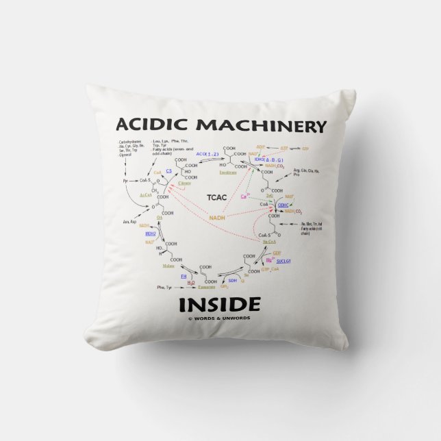 Acidic Machinery Inside (Krebs Citric Acid Cycle) Cushion (Front)
