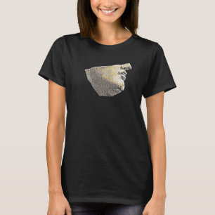 Acient Italy Roman Statue Abstract Teacher  77 T-Shirt