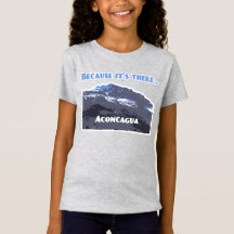 Aconcagua Mountain, because it's there