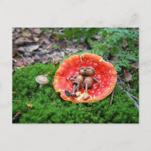 Acorn elf couple on the mushroom postcard