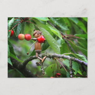 Acorn elf eating cherries on the tree summer postcard