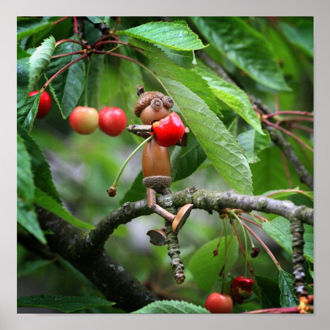 Acorn elf eating cherries on the tree summer poste poster (Front)