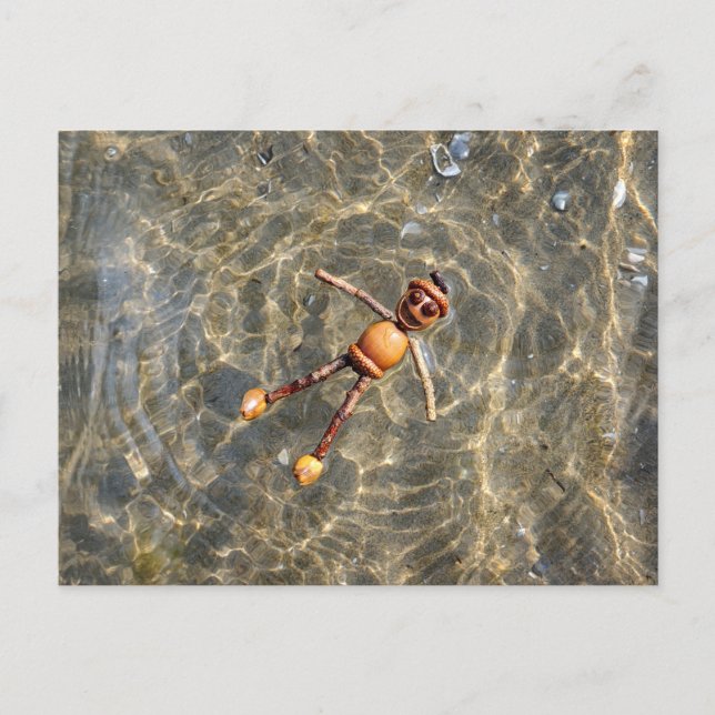Acorn Elf Floating in Water Postcard (Front)