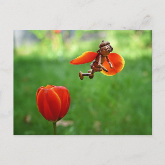 Acorn elf girl as tulip fairy spring postcard (Front)