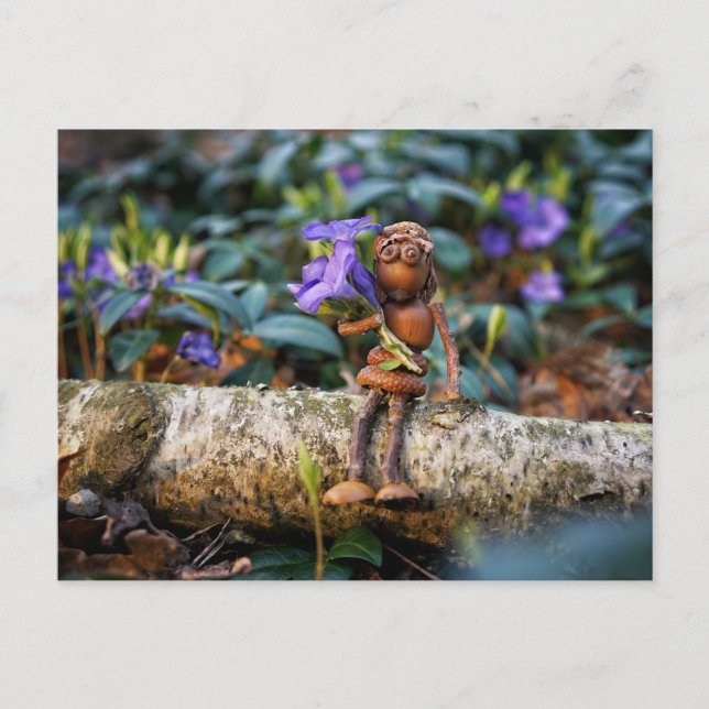 Acorn elf girl with flowers postcard (Front)
