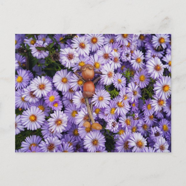 Acorn elf in the flowers postcard (Front)