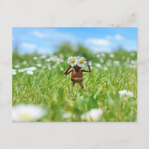 Acorn elf in the meadow with daisies - funny postcard