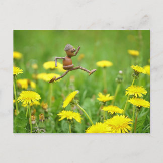 Acorn elf jumping on dandelions on the meadow postcard