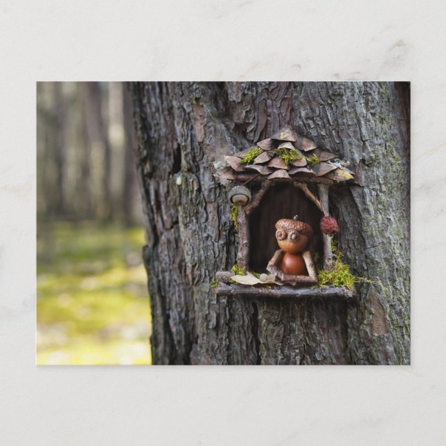 Acorn elf looking from the window postcard (Front)