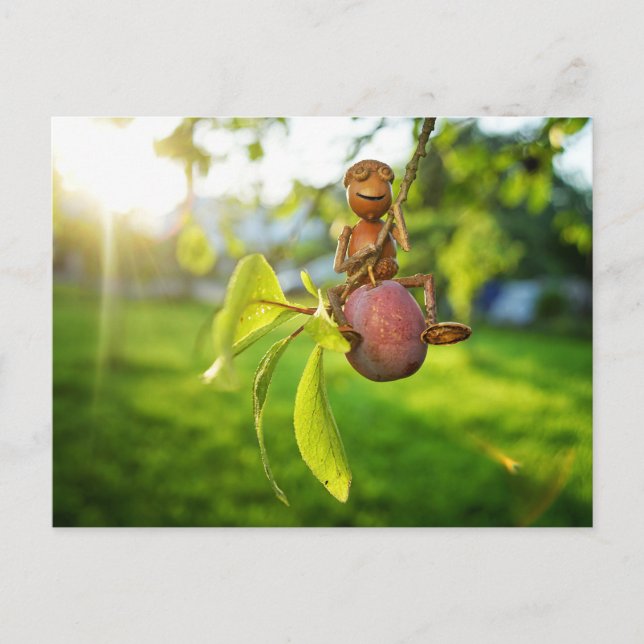 Acorn elf on the plump tree summer  postcard (Front)