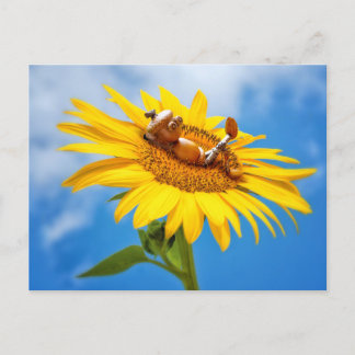 Acorn elf on the sunflower - summer postcard