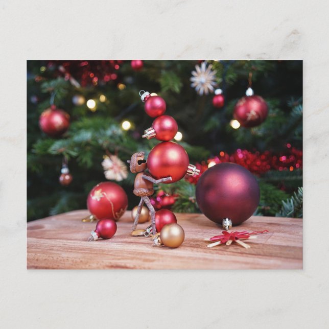 Acorn elf playing with Christmas decorations Postcard (Front)