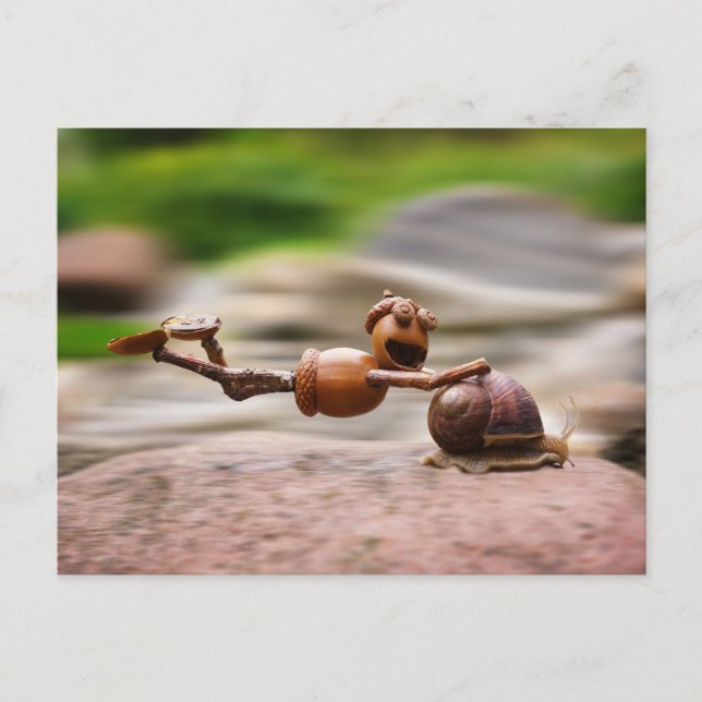 Acorn elf riding on the snail postcard (Front)