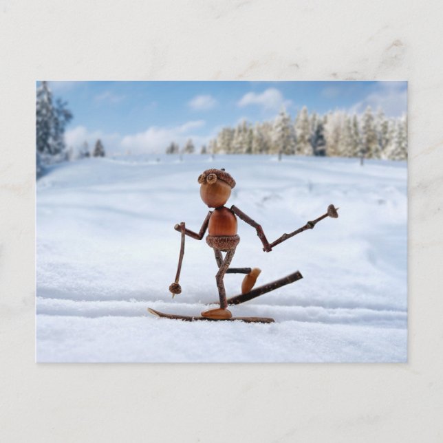 Acorn elf skiing on the snow winter postcard (Front)