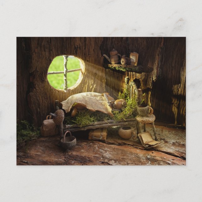 Acorn elf sleeping in his house postcard (Front)
