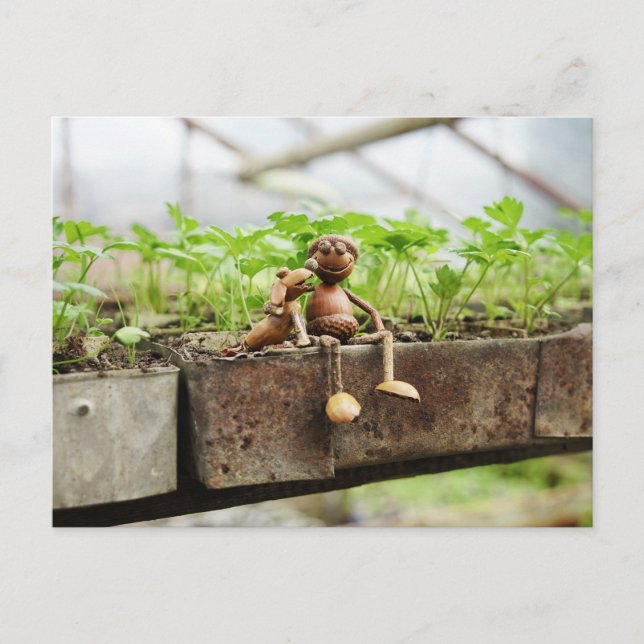 Acorn elf spring gardener postcard (Front)