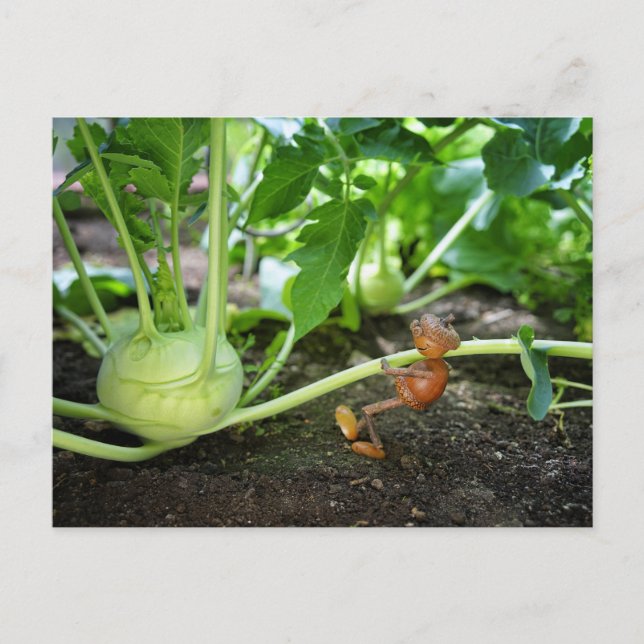 Acorn elf spring gardener postcard (Front)