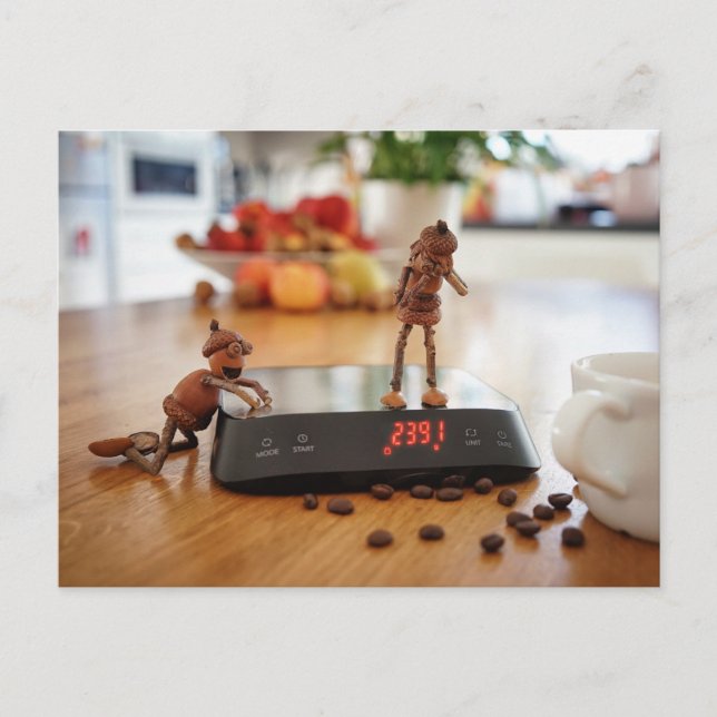 Acorn elf teasing his girl with the weight postcard (Front)