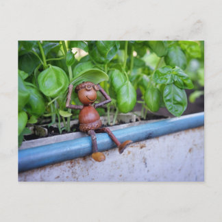 Acorn Elf with Basil Plants Postcard