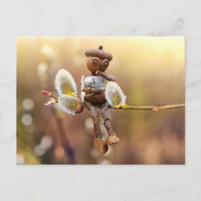 Acorn elf with catkins spring postcard (Front)