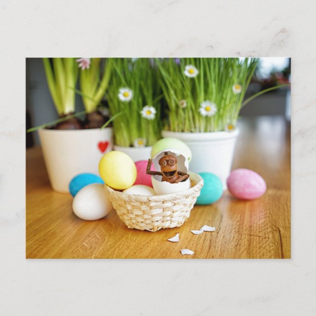 Acorn elf with Easter eggs Easter Postcard (Front)