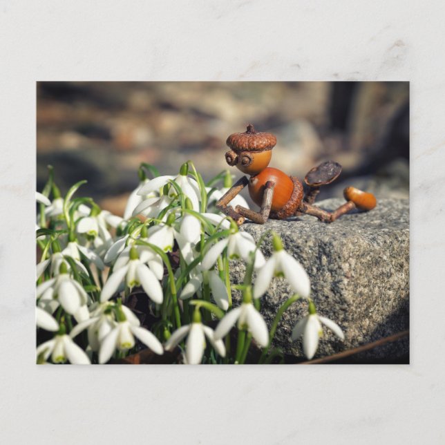 Acorn elf with snowflake flower spring postcard (Front)
