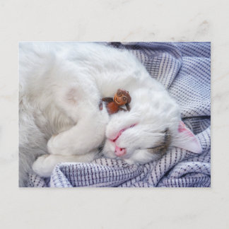 Acorn elf with the cat postcard