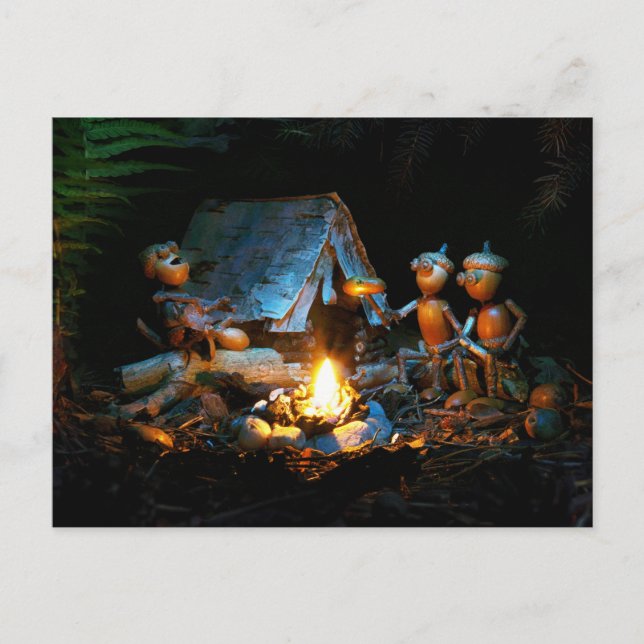 Acorn elves around the campfire at the campsite postcard (Front)