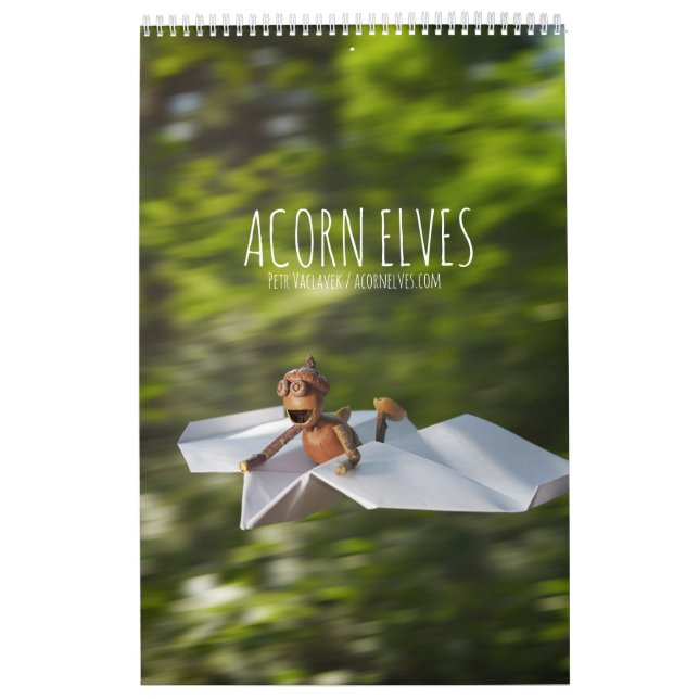 Acorn Elves / Dubanci photo calendar (Cover)