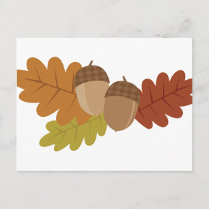 Acorn Leaves Postcard