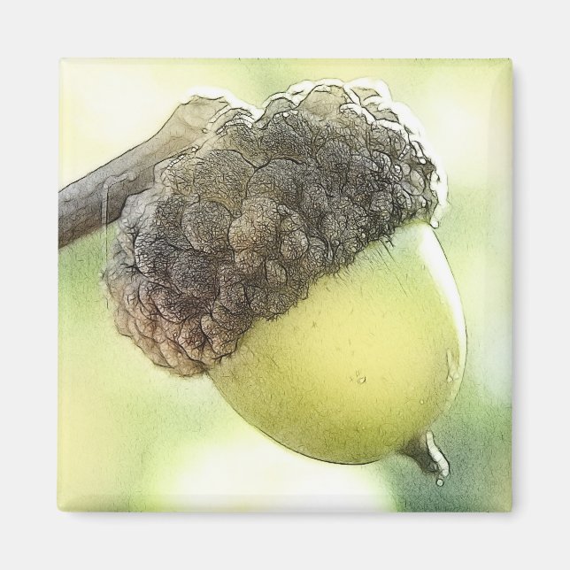 Acorn Magnet (Front)