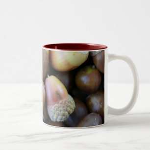 Acorn Mug